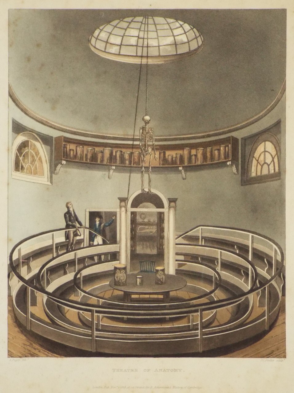 Aquatint - Theatre of Anatomy. - Stadler